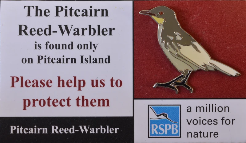 Pitcairn Island Reed-Warbler Lapel Pin