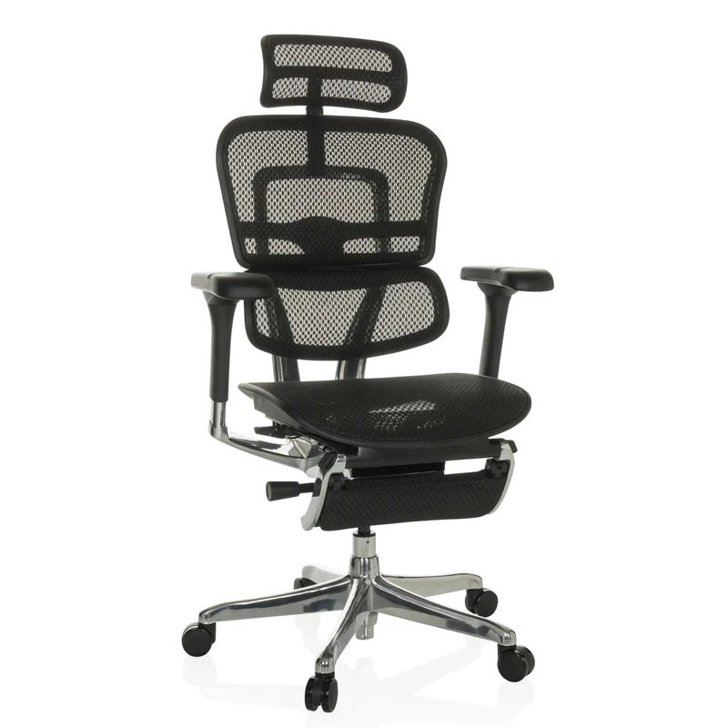 ERGOHUMAN PLUS LEGPRO GEN2 | Mesh - Lyxig chefsfåtölj