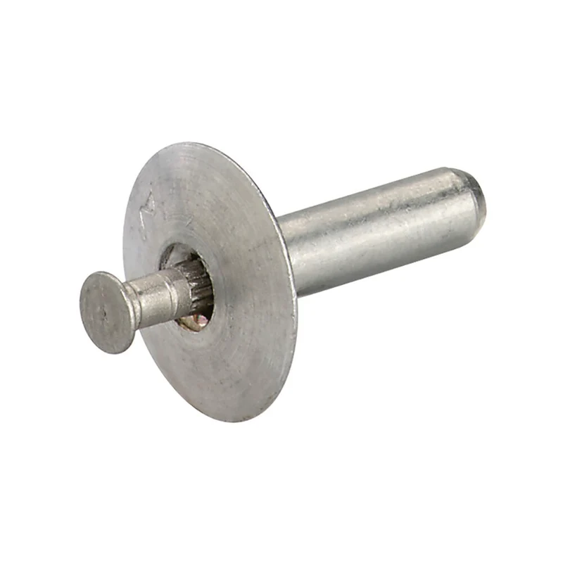 Slagnit fischer FAHSN 100 st – flera storlekar